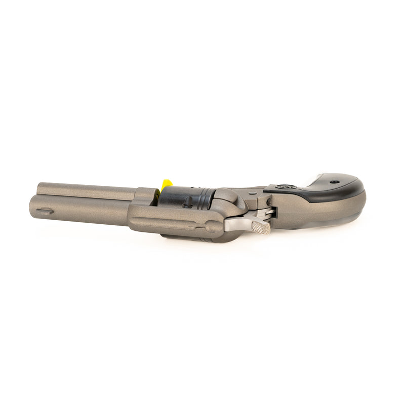 Ruger Wrangler Birdshead Revolver : 22LR