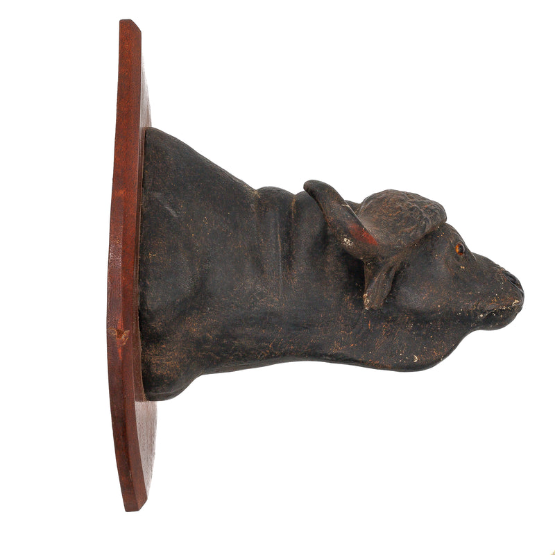 Mid Century Modern Water Buffalo Faux Taxidermy