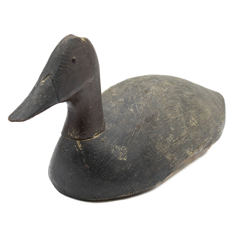 1930s Canvasback Drake - Detroit River Area