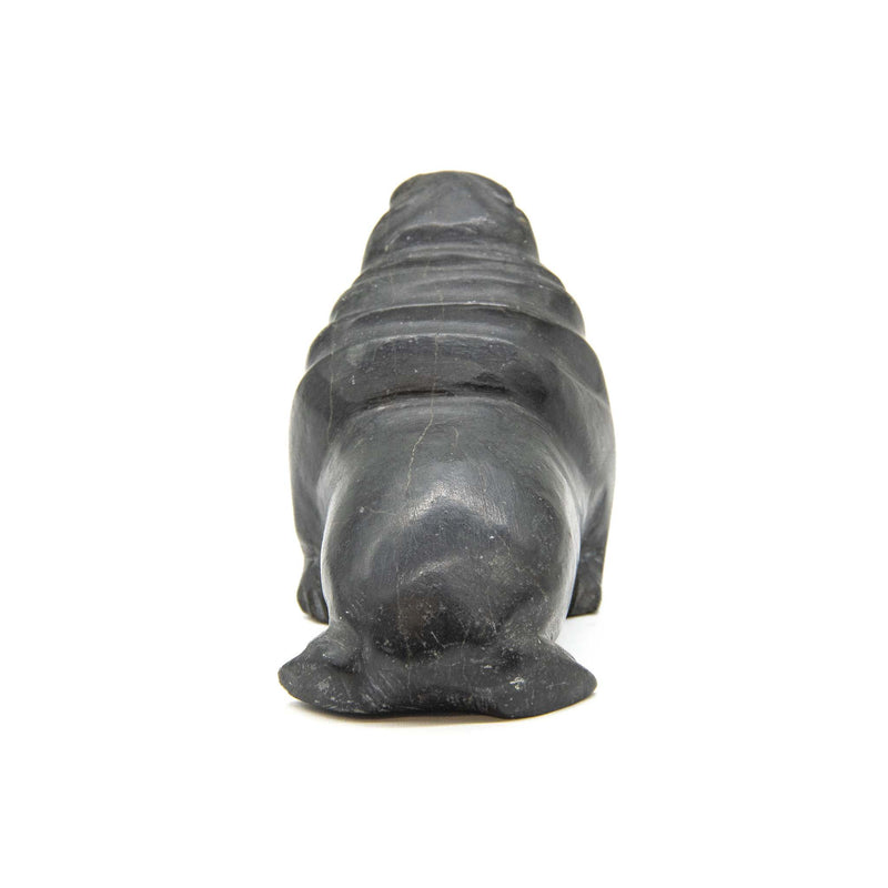 Noah Nowrakudluk (1916) Walrus with Bone Tusks: Soapstone Carving