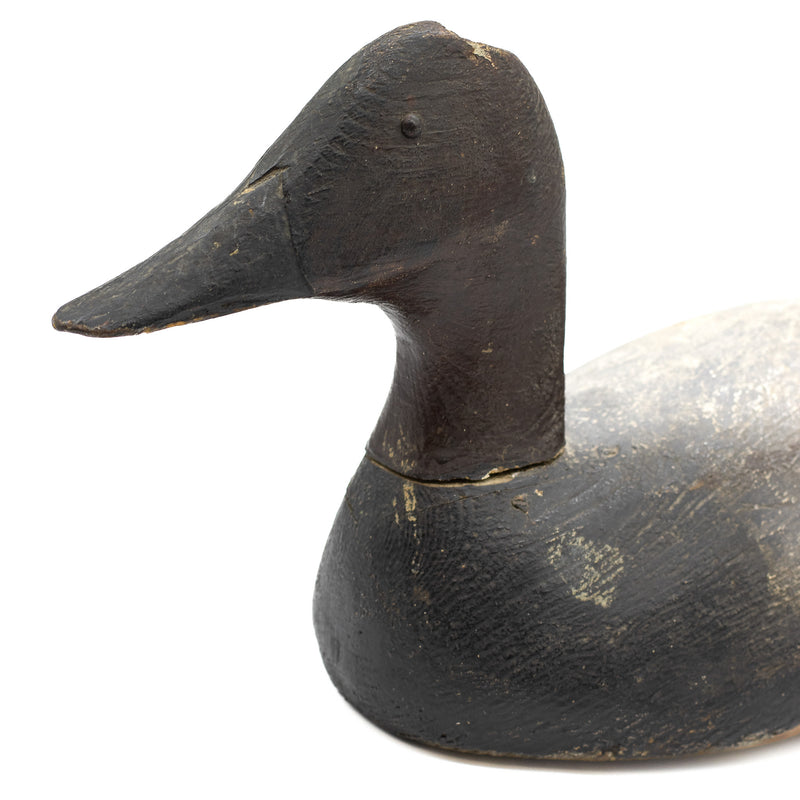 1930s Canvasback Drake - Detroit River Area
