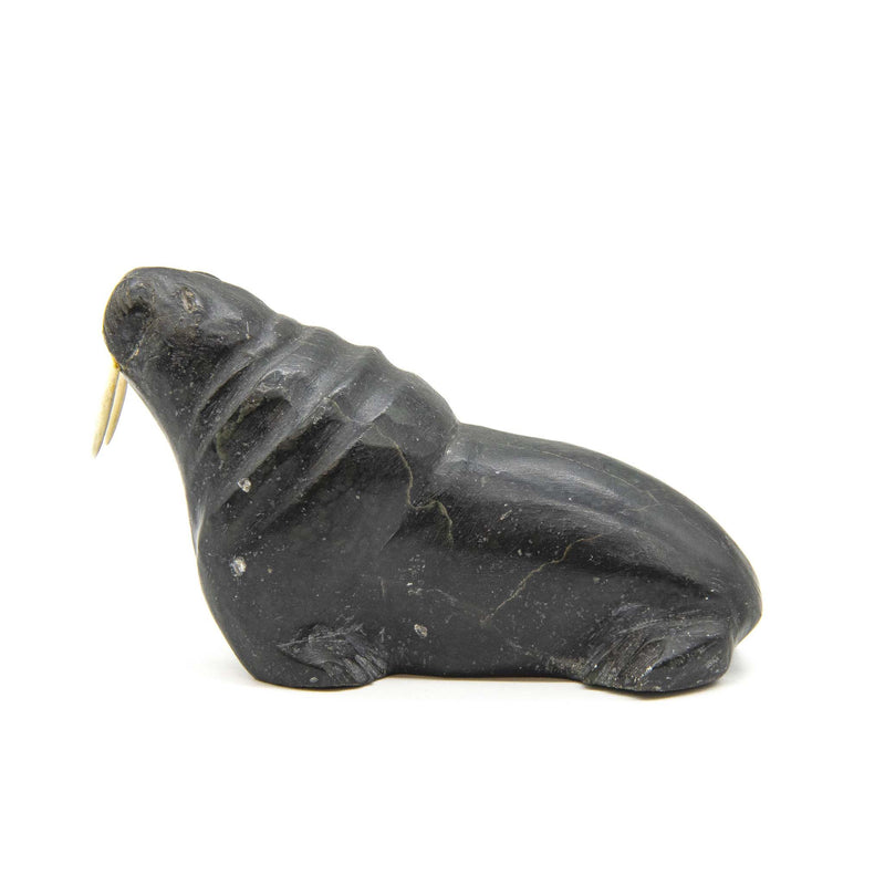Noah Nowrakudluk (1916) Walrus with Bone Tusks: Soapstone Carving