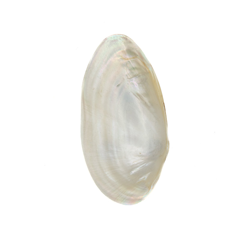 Footed Shell Dish