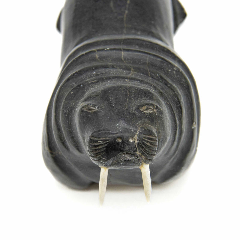 Noah Nowrakudluk (1916) Walrus with Bone Tusks: Soapstone Carving