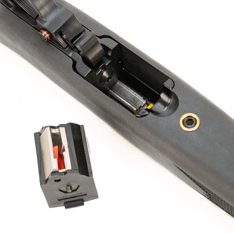 Ruger 10/22 Carbine Semi-Automatic Rifle : .22 LR
