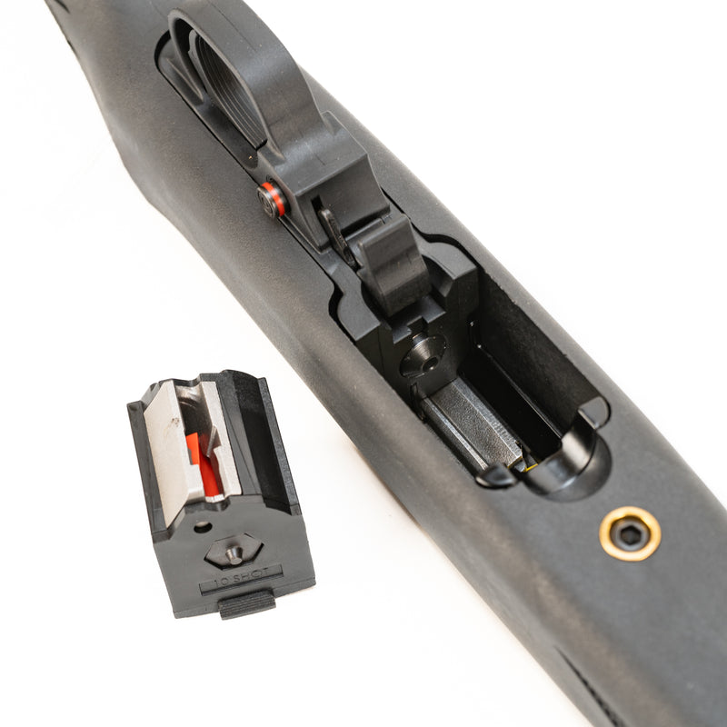 Ruger 10/22 Carbine Semi-Automatic Rifle : .22 LR