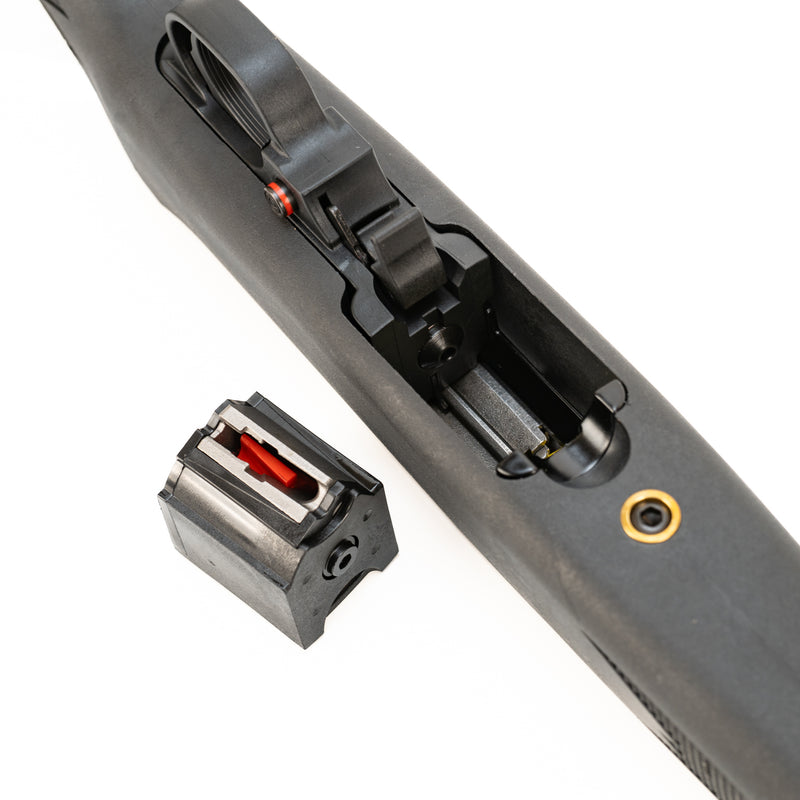 Ruger 10/22 Carbine Semi-Automatic Rifle : .22 LR