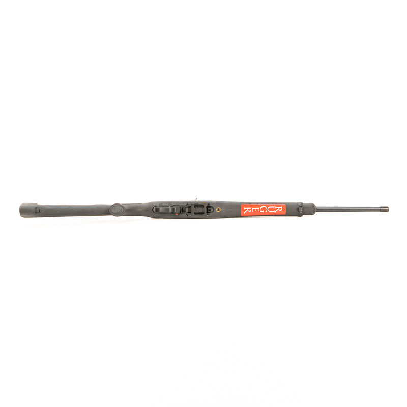 Ruger 10/22 Carbine Semi-Automatic Rifle : .22 LR