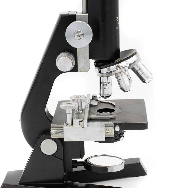 Reichert Austria Microscope